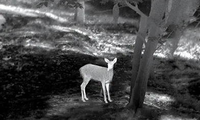 Let you know the benefits of infrared night vision goggles